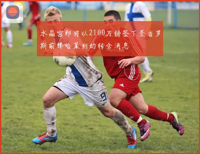 水晶宫即将以2100万镑签下圣吉罗斯前锋哈莱利的转会消息