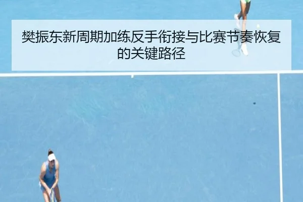 樊振东新周期加练反手衔接与比赛节奏恢复的关键路径